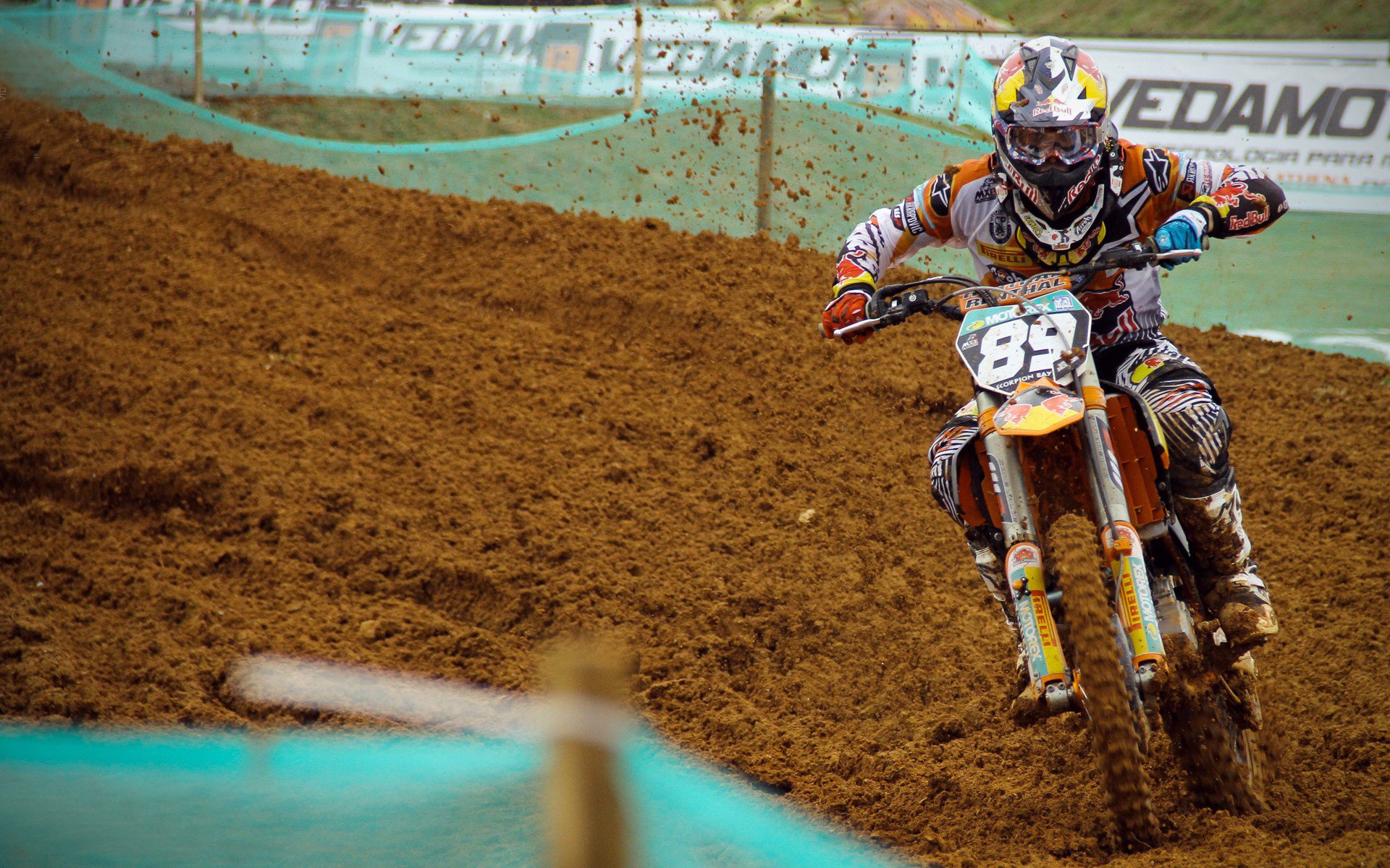 _年度新星赛事：新鲜血液冲击职业舞台_，新鲜血液对团队的作用